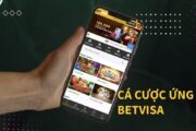 Hướng dẫn tải app Betvisa cho mọi người dùng hệ điều hành iOS